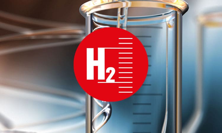 Produktsegment H2/Gas Analysis